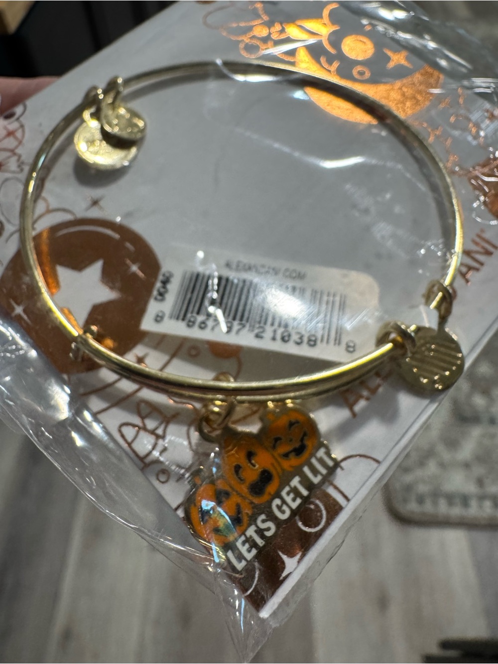 Alex and Ani Halloween Charm Bangle Bracelet